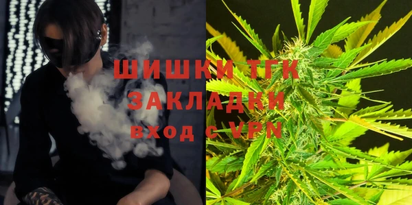 круглые Тайга