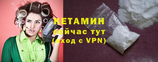 дживик Сясьстрой