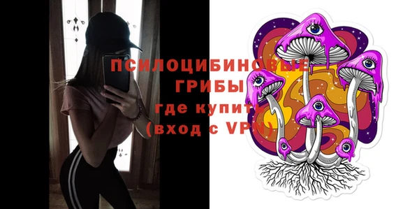 герыч Бронницы