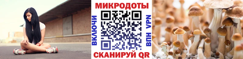 Купить  Переславль-Залесский  Галлюциногенные грибы ЛСД 
